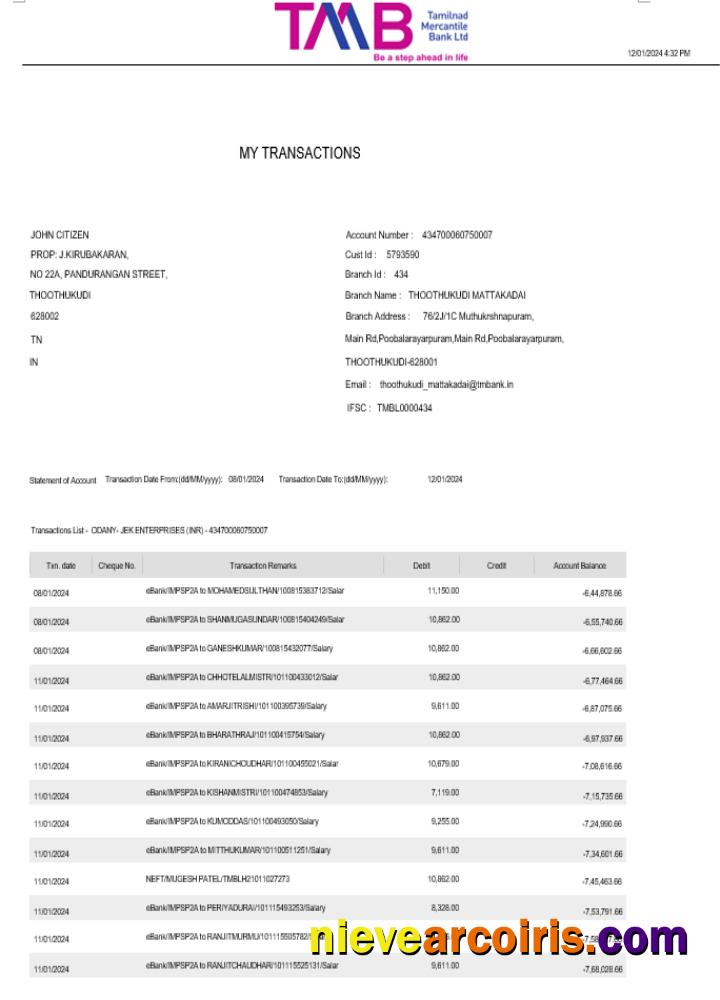 India TAB bank statement Word and PDF, 2 pages